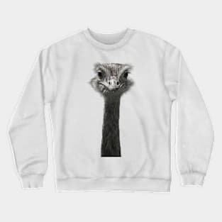 funny ostrich Crewneck Sweatshirt